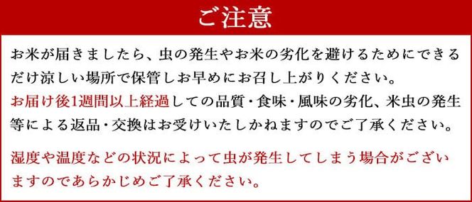 ＜令和5年産宮崎県産コシヒカリ 2kg×6＞翌々月末迄に順次出荷【c895_ag_x4】 合計12kg 米 精米 コシヒカリ