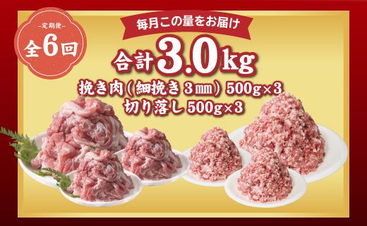 DM022 ＜定期便＞6回プラン 幻の銘柄豚 富士湧水ポーク 2か月毎に美味しいお肉が届く！ 切り落とし1.5kg+挽肉1.5kg（保存に便利な真空パック）
