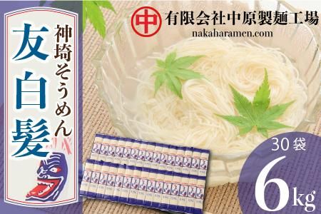 神埼そうめん「友白髪」 30袋入り 【麺 明治時代 お歳暮 お中元 ひやむぎ 冷麦 おみやげ お土産 夏】(H045103)