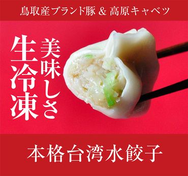 0854 台湾水餃子(豚水餃子)60個セット
