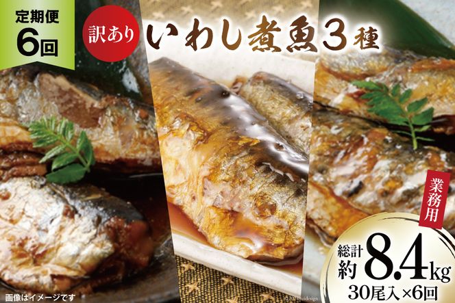 定期便 《6ヶ月連続お届け》 訳あり 業務用 いわし煮魚 (3種×10尾 計30尾入 約1.4kg)×6回 総重量約8.4kg [カネダイ 宮城県 気仙沼市 20563281] いわし 生姜煮 梅肉煮 みぞれ煮