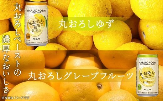 ＜ TaKaRa 丸おろし 4種 飲み比べ セット 丸おろしピーチ レモン ゆず グレープフルーツ 350ml×24本＞翌月末迄に順次出荷【c1011_mm_x1】 焼酎 サワー 4種
