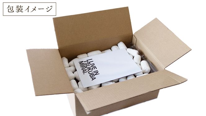 【訳あり】いちご 1kg 【1月から発送開始】（茨城県共通返礼品 [いちご]：城里町産） いちご 苺 イチゴ 訳あり [BI368-NT]