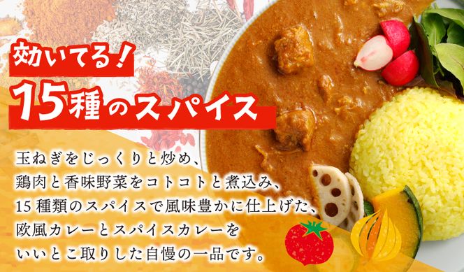 G1461 【年内発送】15種スパイスを使用したSONカフェ特製カレー 200g×4P＆玉ねぎのアチャール×1P いずみピクルス NSW スピード発送【特別寄附金額】