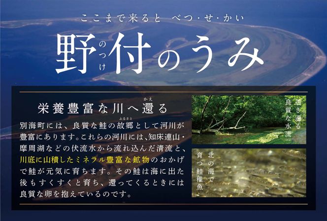 【CF】★N15 こだわり熟成 秋鮭切身 15切（1切×15pc）【NK000N150】