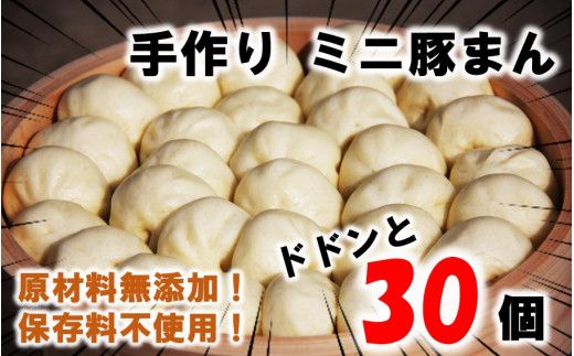 y啪sz؂܂Eĺu~j؂܂30v_1489R