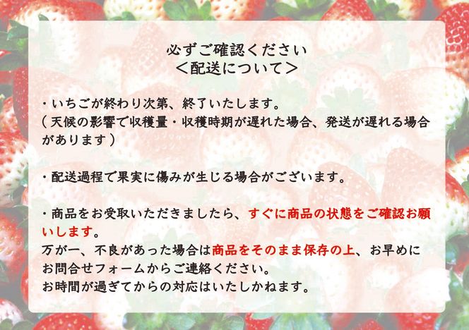 [先行予約・いちご研究所が17年費やした] スカイベリー600g (12月中旬より順次発送予定)｜いちご イチゴ 苺 フルーツ 果物 産地直送 栃木県産 矢板市産 [0420]