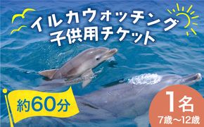 南島原 イルカウォッチング 子ども用 1人用 チケット / イルカ 観光 南島原市 / 南島原イルカウォッチング[SAE003]