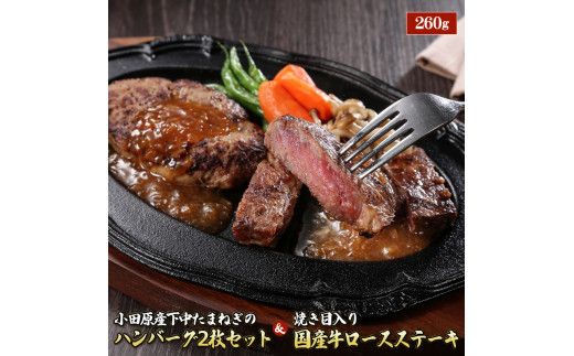 小田原産下中たまねぎのハンバーグ2枚セット&焼き目入り国産牛ロースステーキ260g