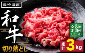 【3回定期便】長崎県産 和牛 切り落とし1kg / 南島原市 / 高田牧場 [SDB005]