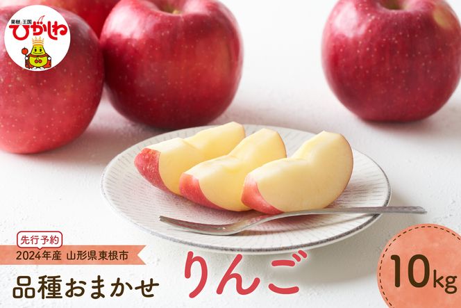 【2024年先行予約】りんご(品種おまかせ)10kg JA提供 hi003-111