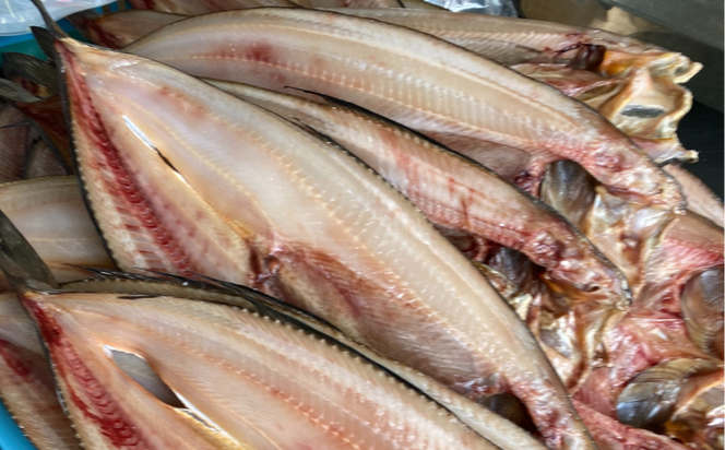 ほっけの開き 大5枚（370g前後） オホーツク産 真ほっけ SRMA018