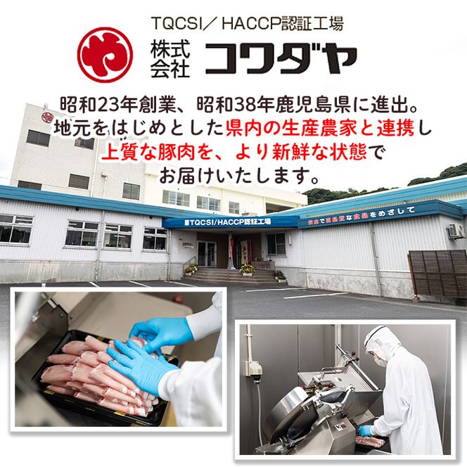 yɍszisa488 yɍ̓zY؃j[xK[u[gXg(v1kgȏE120g×9P)  Y BY  ؓ ECi[ y  ٓ BBQ Lv  Ⓚ yR_z