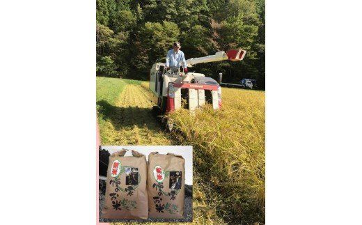 限64. 【令和6年度新米】八百津で採れたコシヒカリ！ 10kg