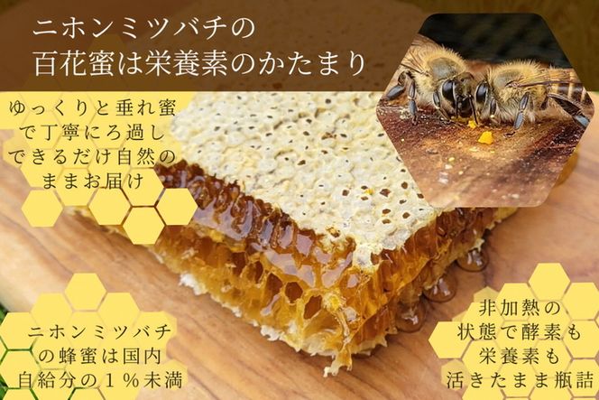 【数量限定】京都産 生はちみつ 130g×3個セット 二ホンミツバチの生はちみつ 《国産 純粋 蜂蜜 非加熱 無添加 ハチミツ 希少 健康 免疫 朝食》