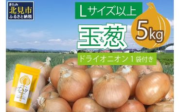 【予約：2024年10月中旬から順次発送】玉葱 5kg Lサイズ以上 北見ドライオニオン1袋付き ( 玉ねぎ たまねぎ ドライオニオン セット ふるさと納税 北見市 )【148-0004-2024】