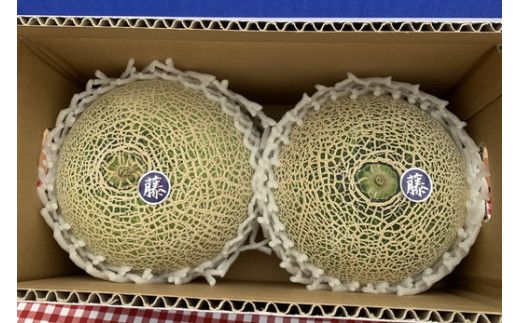 【先行予約】オリジナルブランド藤右衛門メロン2玉 芳醇な薫り緻密な果肉 爽やかな甘みをぜひお楽しみください ※離島への配送不可 ※2026年5月下旬～6月下旬頃に順次発送予定