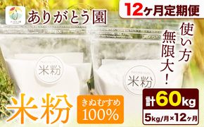 【12ヶ月定期便】米粉 きぬむすめ 5kg ありがとう園《お申込み月の翌月から出荷開始》岡山県 矢掛町 米 コメ 一等米 きぬむすめ 100％ 料理用 定期便---osy_aekktei_23_115500_mo12num_5---