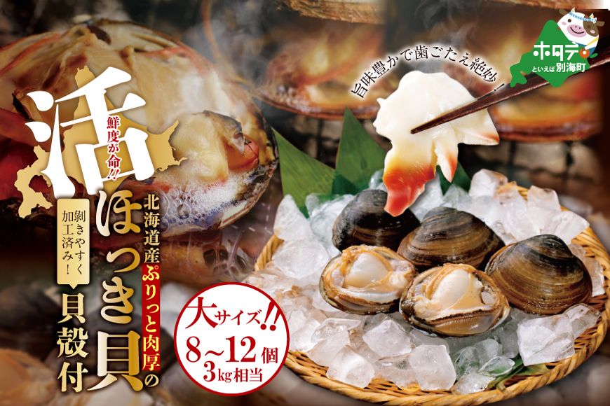 鮮度抜群!「貝殻付 活ホッキ 大サイズ 8~12個 3kg相当 」