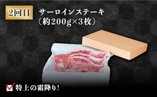 【豪華4回定期便】長崎 和牛 食べ比べ / ヒレ サーロイン ロース シャトーブリアン / 南島原市 / ながいけ [SCH045]