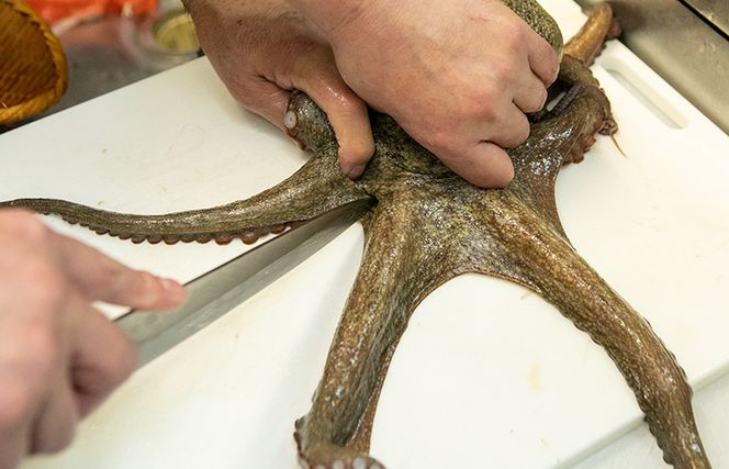 010B1365 漁師が作った和泉ダコのやわらか煮