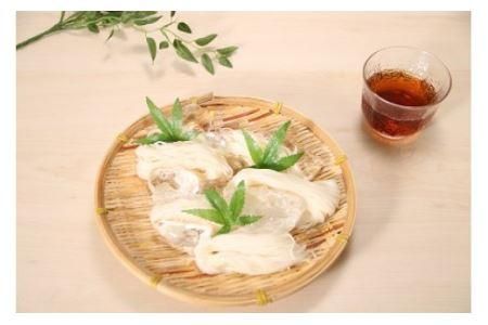 神埼そうめん(240g×20袋) 【そうめん 麺 神埼 めん 素麺 佐賀特産品 かんざき 九州 佐賀 ギフト 贈答用 名産品】(H020101)