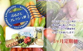 ふるさとフレッシュ便（旬野菜・ふるさと米）3か月定期便---E-05---