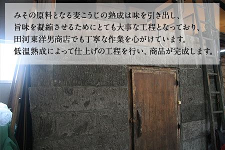 「田河東洋男商店」 ふるさと 簡単味噌汁ギフト 14g×20食分 熊本県氷川町産《30日以内に出荷予定(土日祝除く)》---sh_tagawamiso_30d_24_14000_20p---