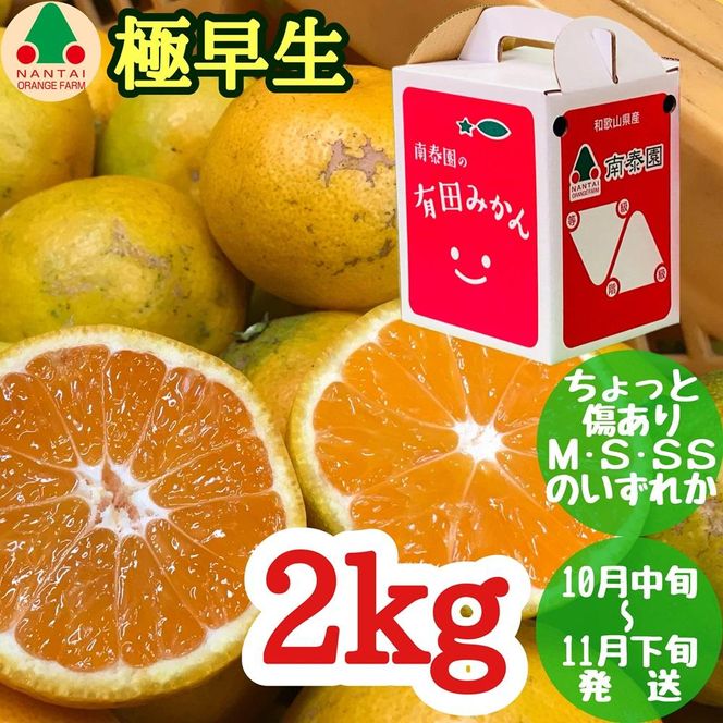 定期便 手さげ箱 セット 極早生 有田みかん ＆ はっさく 全2回 南泰園 みかん 	BS803