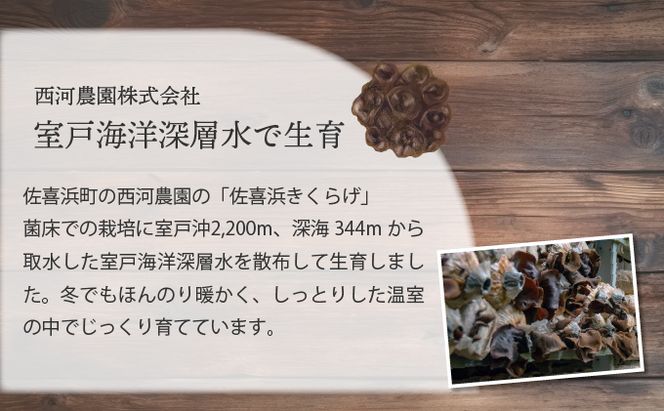 佐喜浜キクラゲ（生）　計８００ｇ（８０ｇ×１０袋）　nc005