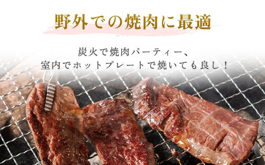 【肉の割烹田村】牛サガリ（焼肉用）300ｇ×2Ｐ／Ｃ 【配送不可地域：離島】 BHRJ018