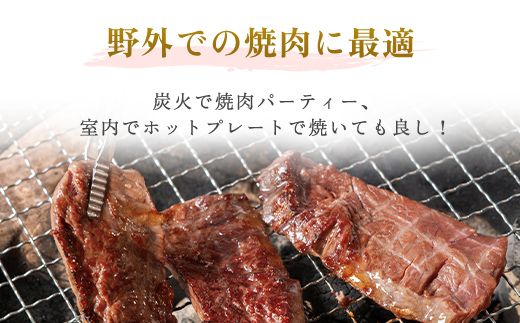 【田村精肉店】牛サガリ（焼肉用）300ｇ×4Ｐ／Ｃ 【配送不可地域：離島】 BHRJ019