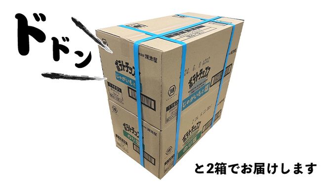 【 湖池屋 3ヶ月 定期便 】 湖池屋 ポテトチップス 2種類アソート （のり塩・じゃがいもと塩）（各12袋・計24袋 ×３回） ポテチ お菓子 おかし 大量 スナック おつまみ ジャガイモ じゃがいも まとめ買い スナック菓子 頒布会 数量限定 [DA046us]