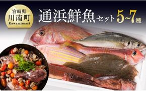 『日向灘海の幸』 通浜鮮魚セット 【 魚介類 鮮魚 魚 詰め合わせ 】[H1702]