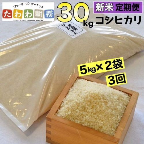 【定期便】令和5年産 米 10kg 3ヶ月 京都丹波産 コシヒカリ 白米＜JA京都 たわわ朝霧＞ 3回定期便 10kg（5kg×2袋）×3回 計30kg 毎月発送に合わせて精米≪緊急支援品 ふるさと納税 訳あり≫