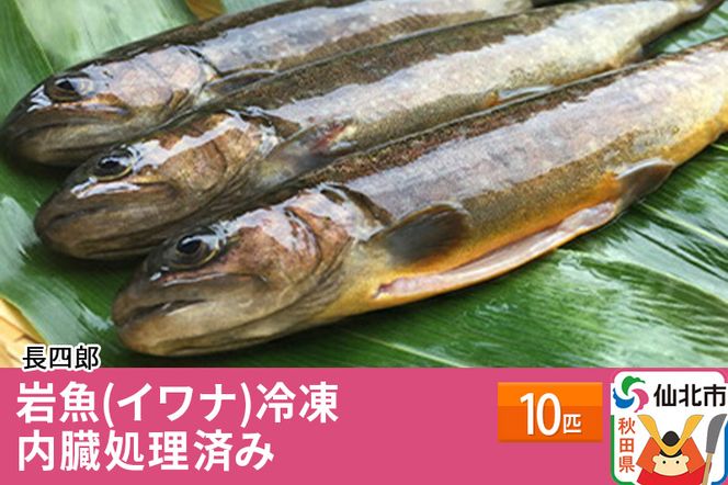 岩魚（イワナ）冷凍10匹　内臓処理済み　10匹|02_csr-010201