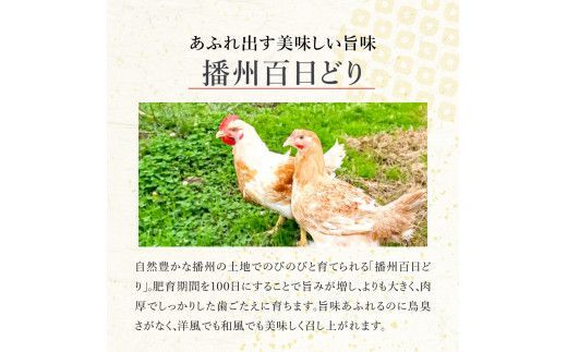 009VS01N.勢賀の郷　チキンハンバーグ（4個入り）