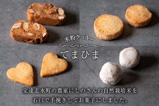 菓子 「農家にしの」の自然栽培米をつかった「てまひま(岩)」 4枚 [西洋郷土菓子あいりす 石川県 宝達志水町 38600923] お菓子 洋菓子 おかし スイーツ 焼き菓子 おやつ クッキー ビスコッティ グルテンフリー 米粉クッキー