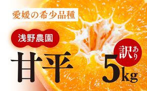 【先行予約】【数量限定】【訳あり】浅野農園の甘平（かんぺい）5kg｜柑橘 みかん ミカン フルーツ 果物 愛媛 有名 代表 高級 ※2025年2月中旬頃より順次発送予定 ※離島への配送不可