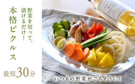 ピクルスワインビネガー10本セット 182-026