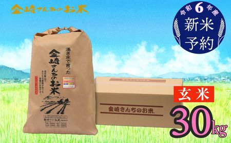 【令和6年産 新米予約】「金崎さんちのお米」玄米30kg(6-5)