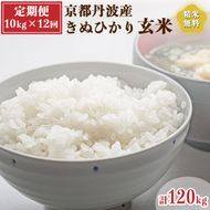 【定期便】令和6年産 新米 先行予約  京都 丹波産 きぬひかり 玄米 10kg（5kg×2袋）12回 計120kg｜5つ星お米マイスター 厳選 受注精米可 隔月発送も可 ※離島への配送不可※2024年9月下旬以降順次発送予定