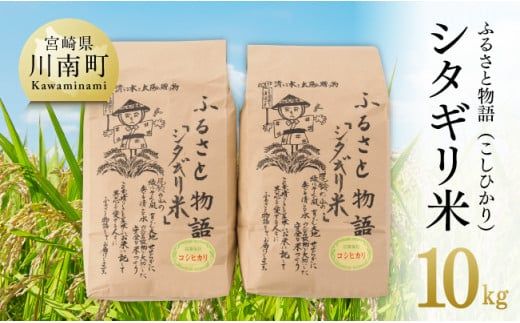 [令和6年産]宮崎県産こしひかり「シタギリ米」10kg[米 お米 白米 精米 国産 宮崎県産 こしひかり おにぎり]☆ [D04202]