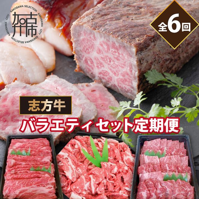 志方牛バラエティセット(定期便全6回)《 定期便 肉 国産 牛肉 牛 国産牛 すき焼き 焼肉 ローストビーフ 焼き豚 お手軽 おいしい お取り寄せ オードブル 志方牛 送料無料 》【2409A00308】