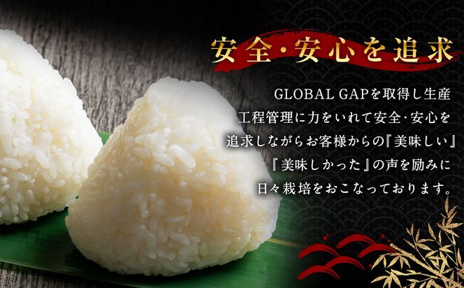 【新米受付・令和8年産米】NA4091 新潟県村上市岩船産コシヒカリ  精米2kg×3個セット