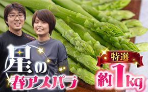 【2026年3月～発送】【星のアスパラ】特選 3L・2L・L 春 の グリーン アスパラガス 約1kg / アスパラ アスパラガス 野菜 / 南島原市 / ほしのYA[SEY005]
