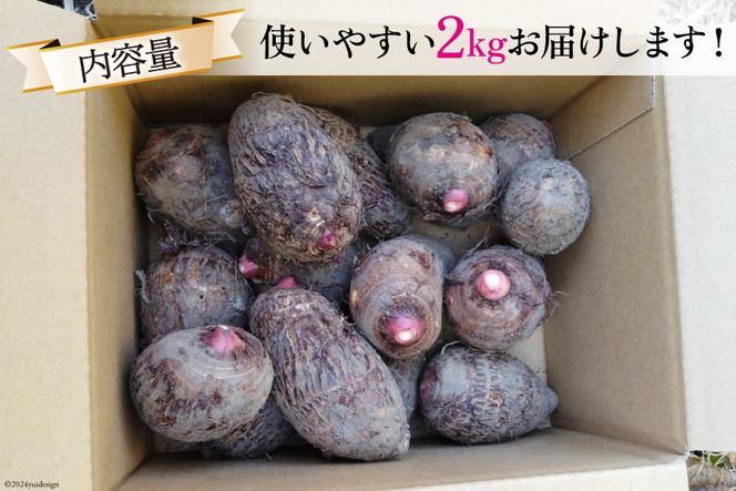 【期間限定発送】 里芋 赤芽 2kg [甲斐自然派農園 宮崎県 日向市 452060525] さといも ホクホク