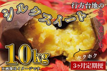 CU-195 【定期便】【3ヵ月】無選別　行方台地のさつまいも　シルクスイート10kg