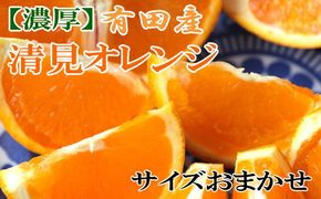 【濃厚】有田産清見オレンジ約5kg（サイズおまかせ・青秀以上）★2025年2月中旬頃より順次発送    BZ062