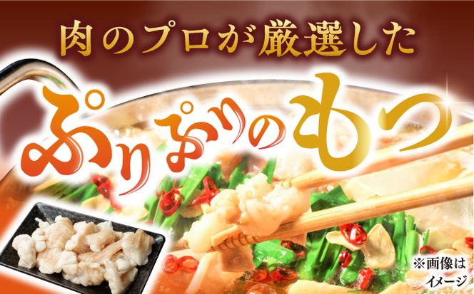 博多 醤油 もつ鍋 10人前《築上町》【株式会社MEAT PLUS】 [ABBP007]